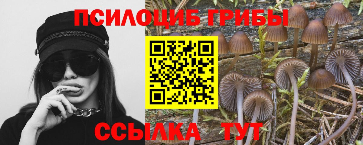 Псилоцибиновые грибы Cubensis  Вход с VPN  Стрежевой 