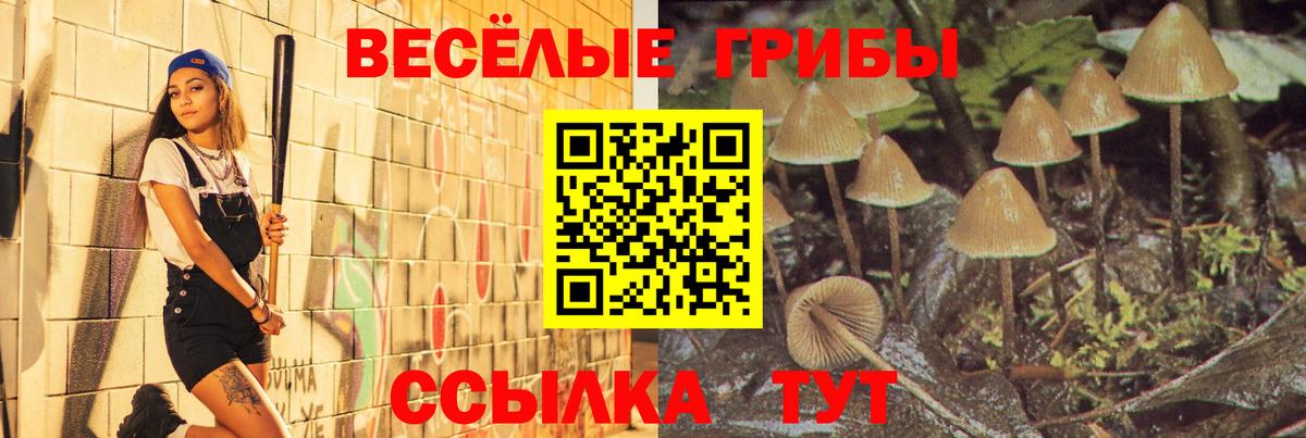 Галлюциногенные грибы GOLDEN TEACHER Стрежевой